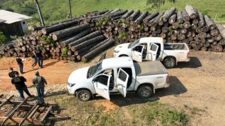 Operação contra desmatamento gera R$ 13,1 milhões em multas no Vale do Ribeira
