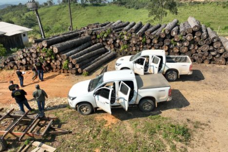 Operação contra desmatamento gera R$ 13,1 milhões em multas no Vale do Ribeira