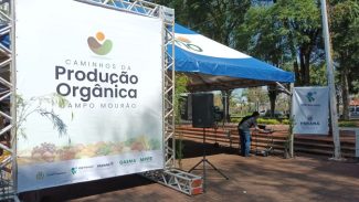 Eventos em Campo Mourão incentivam produção orgânica e segurança alimentar