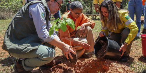 Governo quer evitar licença ambiental de longo prazo no Cerrado