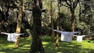 Evento inédito resgata conexão cultural para o Parque do Flamengo