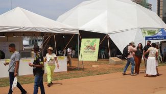 Feira dos Povos do Cerrado oferece diversidade de produtos do bioma