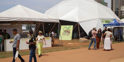 Imagem referente a Feira dos Povos do Cerrado oferece diversidade de produtos do bioma