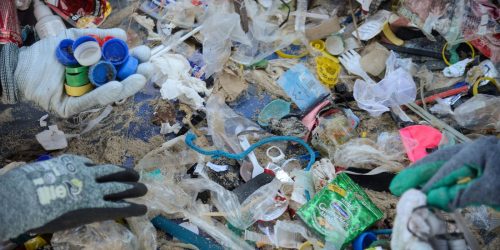 Mutirões recolhem lixo de ruas e praias em Dia Mundial da Limpeza