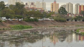 Mancha de poluição no Rio Tietê quase dobra em dois anos