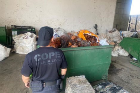 PCPR apreende 2,7 toneladas de cabos em operação contra receptação em Curitiba PCPR apreende 2,7 toneladas de cabos em operação contra receptação em Curitiba