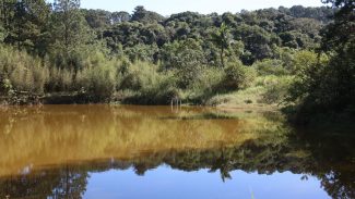 Superfície de água encolheu em países amazônicos, mostra MapBiomas