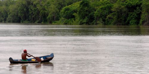 Imagem referente a Amazônia Legal terá recursos para projetos de bioeconomia