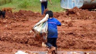 Justiça condena Cargill por contribuir com rede de trabalho infantil