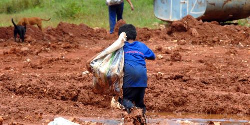 Imagem referente a Justiça condena Cargill por contribuir com rede de trabalho infantil
