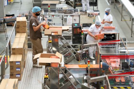Rede Sine do Paraná foi a que mais gerou empregos para jovens no País em oito meses Rede Sine do Paraná foi a que mais gerou empregos para jovens no País em oito meses