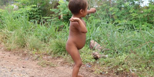 Imagem referente a PF investiga desvios de medicamentos destinados aos Yanomami