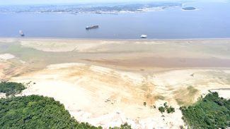 Governo vai antecipar Bolsa Família em municípios atingidos por seca