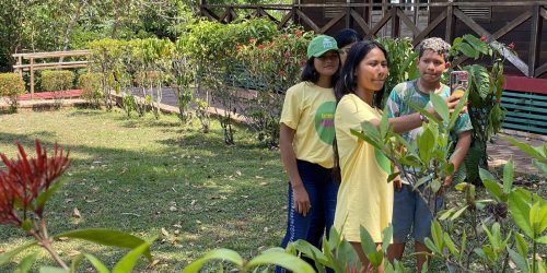 Imagem referente a Jovens ribeirinhos no Amazonas viram “repórteres da floresta”