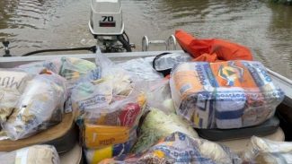 Apoio logístico e resgate de animais: IAT ajuda vítimas da enchente em União da Vitória