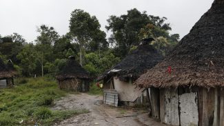 Representantes da corte interamericana visitarão TI Yanomami