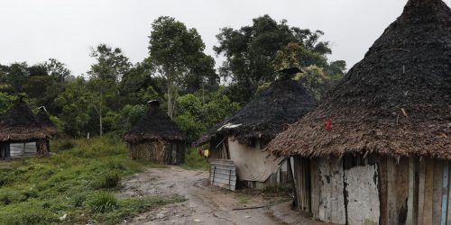 Imagem referente a Representantes da corte interamericana visitarão TI Yanomami