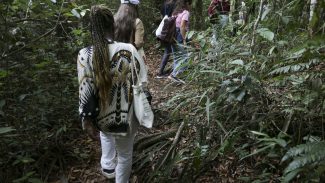 Projeto educativo apresenta biodiversidade do Cerrado