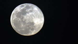 Eclipse parcial da Lua será hoje e poderá ser visto pela internet