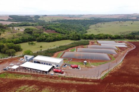 Imagem referente a De passivo ambiental a energia com valor agregado: o caminho do biogás no Paraná