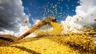 Safra de grãos 2023/2024 é estimada em 316,7 milhões de toneladas