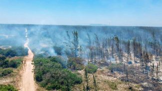 Incêndio atinge parque natural em Arraial do Cabo, no Rio de Janeiro