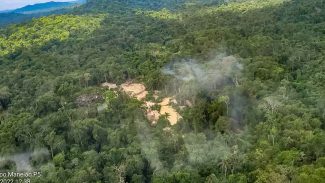 Retirada de invasores de TI do Pará tem prisão e apreensão de madeira