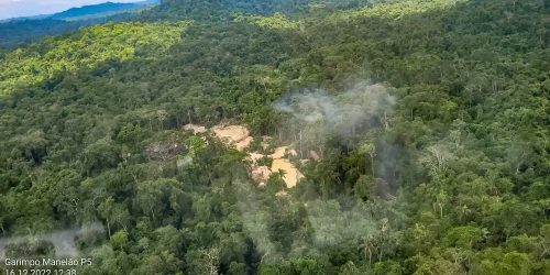 Imagem referente a Retirada de invasores de TI do Pará tem prisão e apreensão de madeira
