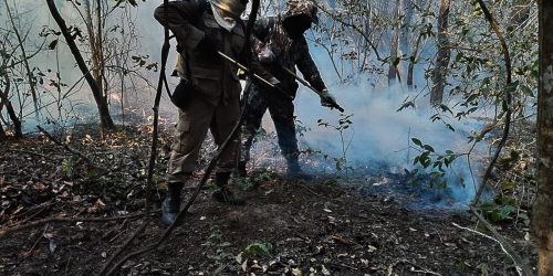 Imagem referente a Governo reforça ações de combate ao fogo no Pantanal
