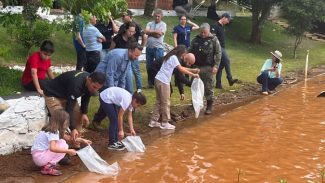 IAT auxilia na soltura de 80 mil alevinos em diferentes pontos do Paraná