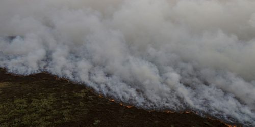 Imagem referente a Brigadistas intensificam trabalho de combate a incêndios no Pantanal