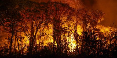 Imagem referente a Pantanal tem mais de 3 mil incêndios em novembro; recorde histórico