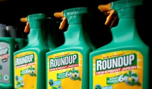 Você e sua família estão seguros? Bayer é condenada a pagar US$ 1,56 bilhão por câncer ligado ao herbicida Roundup