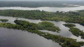 Projeto de lei vai facilitar regularização de terras na Amazônia