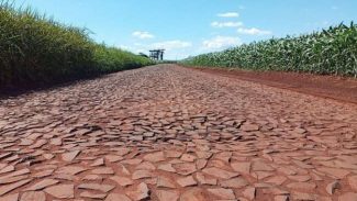 Governo vai recuperar rodovias de Campina da Lagoa com pavimento poliédrico