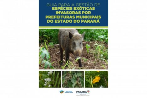 Imagem referente a Aves e espécies exóticas: IAT lança e-books para incentivar boa relação com a natureza