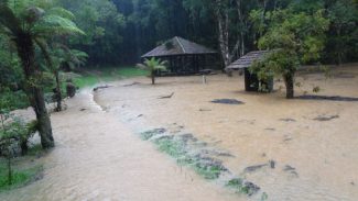 Chuva danifica estrutura e IAT fecha temporariamente o Parque de Campinhos