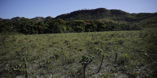 Imagem referente a Desmatamento do Cerrado cresce 3% em um ano; área atinge 11 mil km²