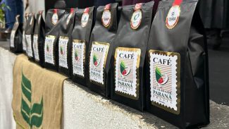 Vencedores do concurso Café Qualidade Paraná serão divulgados nesta quinta-feira