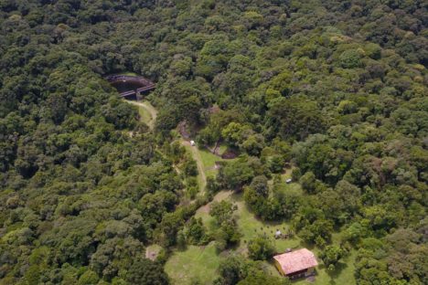 Imagem referente a Desmatamento ilegal da Mata Atlântica reduz 64% no Paraná em 2023