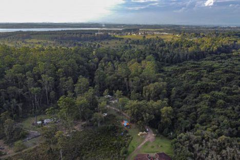 Imagem referente a Case global: gestão da Floresta Metropolitana do Paraná é destaque no anuário da ONU