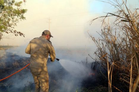 Imagem referente a Sancionada lei que institui programa para expandir apoio dos bombeiros aos municípios