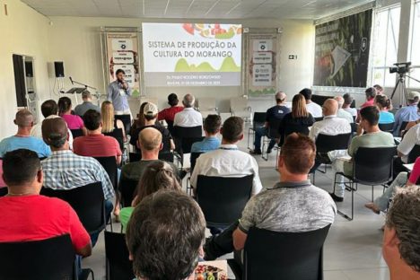 Região Centro-Sul discute boas práticas e expansão da fruticultura no Paraná