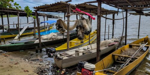 Imagem referente a Peixe na água e rede vazia: desastre da Braskem atinge pescadores