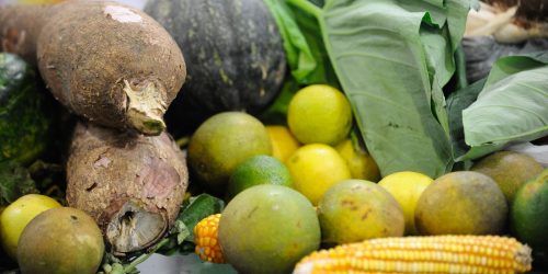 Imagem referente a Agrotóxicos: 25% dos alimentos de origem vegetal no país têm resíduos