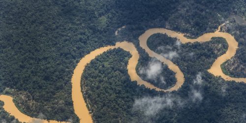 Imagem referente a Noruega anuncia mais R$ 245 milhões para o Fundo Amazônia