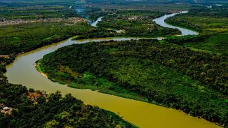 BNDES e Petrobras investem na conservação do Cerrado e do Pantanal