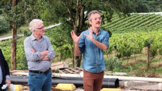 Revitalização da vitivinicultura paranaense é destaque em evento internacional