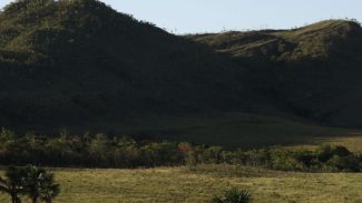 Territórios quilombolas são as áreas menos desmatadas do país
