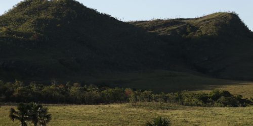 Imagem referente a Territórios quilombolas são as áreas menos desmatadas do país